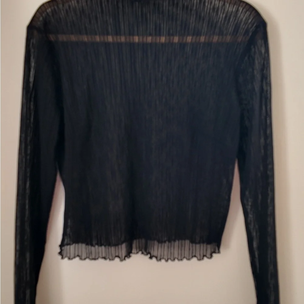 Sheer Pleated Boat Neck Top – Plus Size 0X, Elegant Long Sleeve Blouse